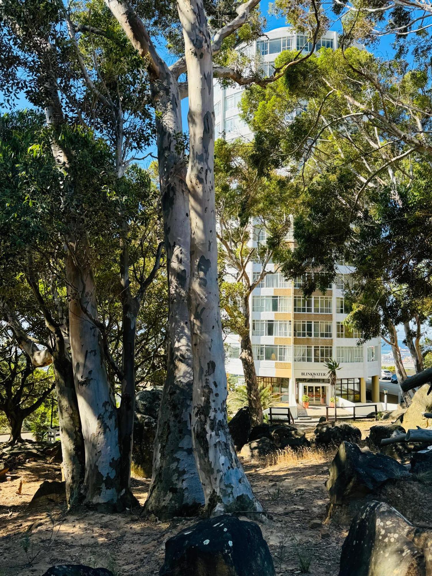 The Scenic Disa Park Apartment, Table Mountain, & Ocean Views * Le Cap